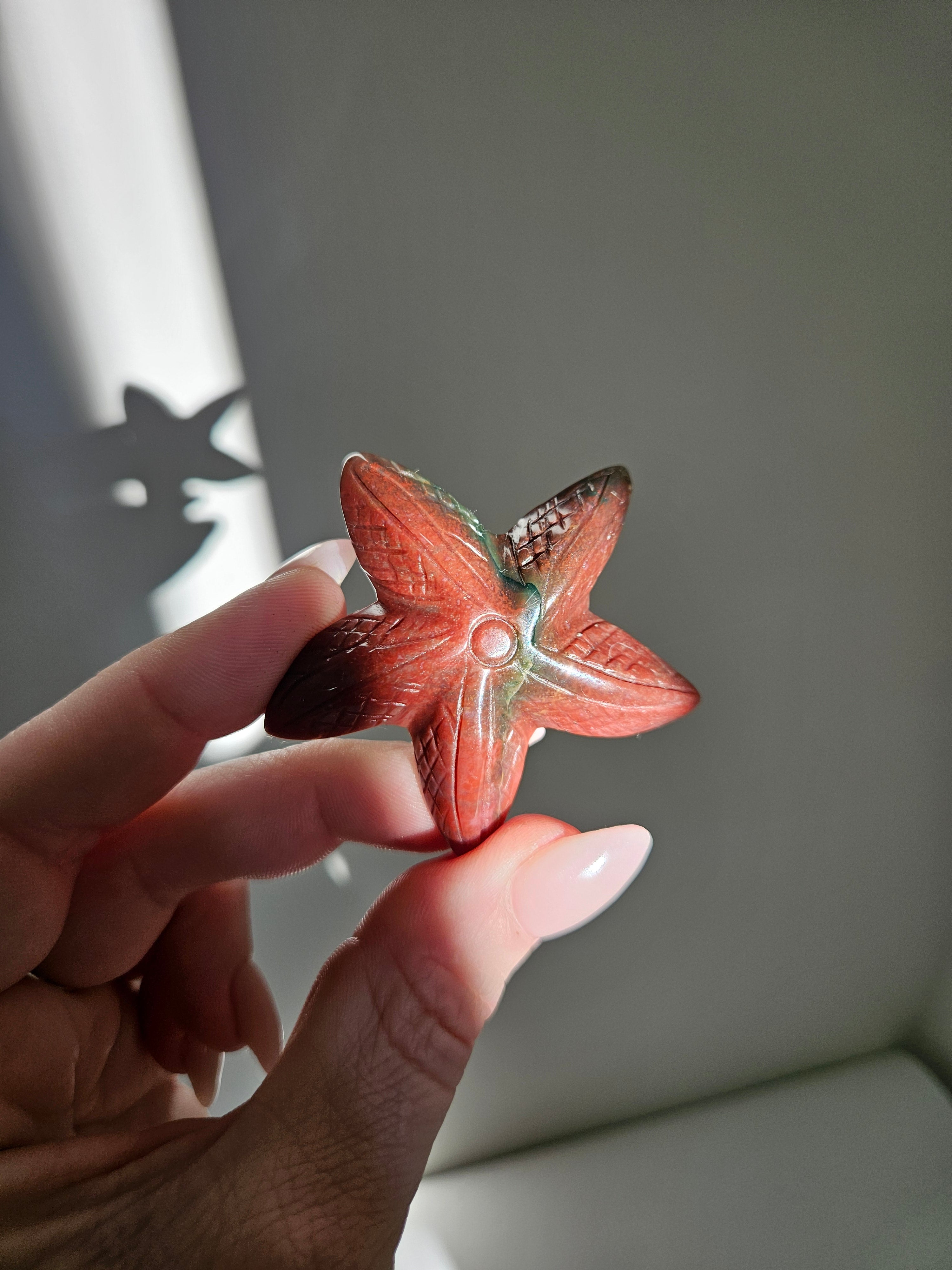 Sea Jasper Starfish 005