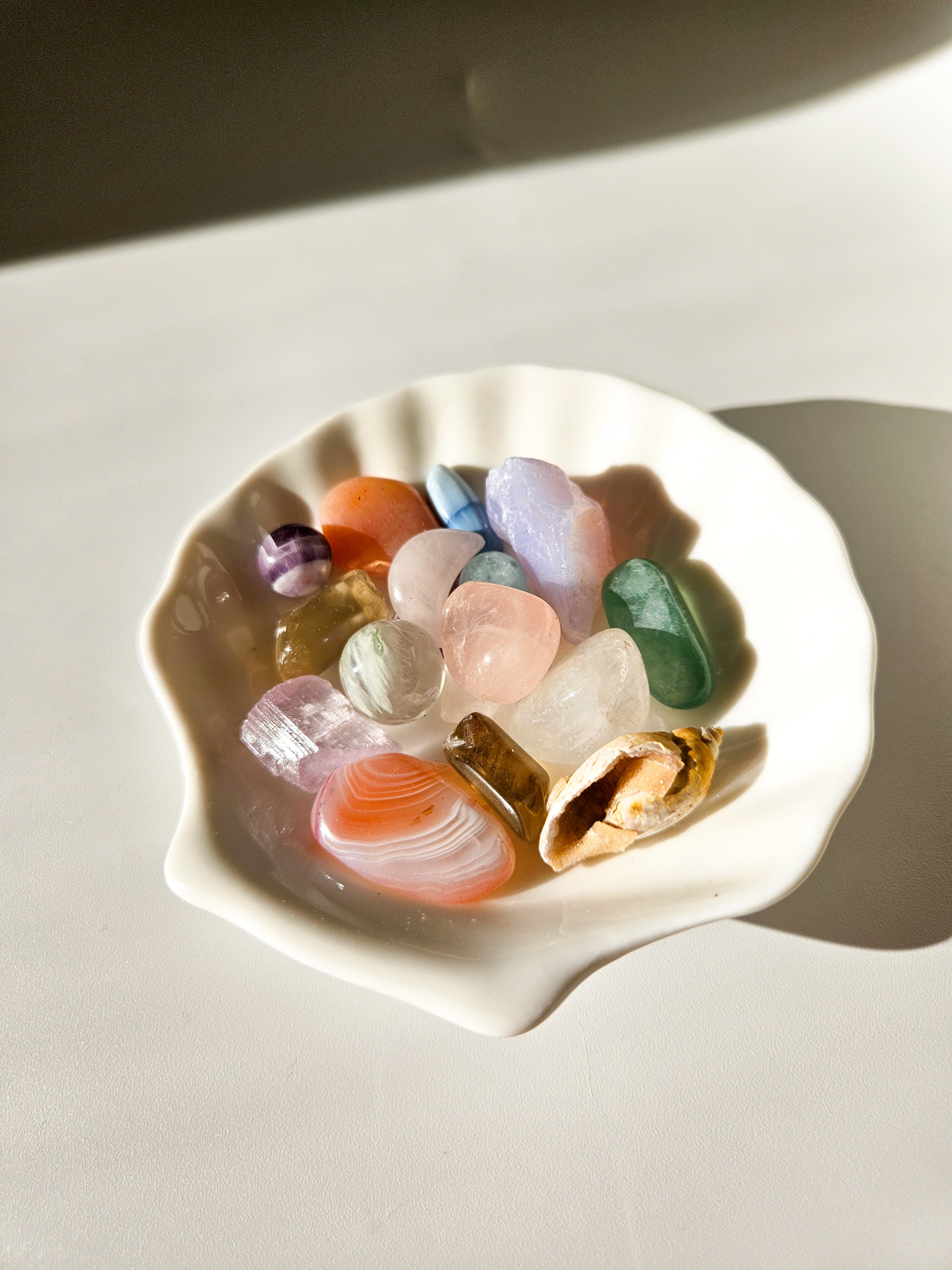 Shell Dish with Minis 001