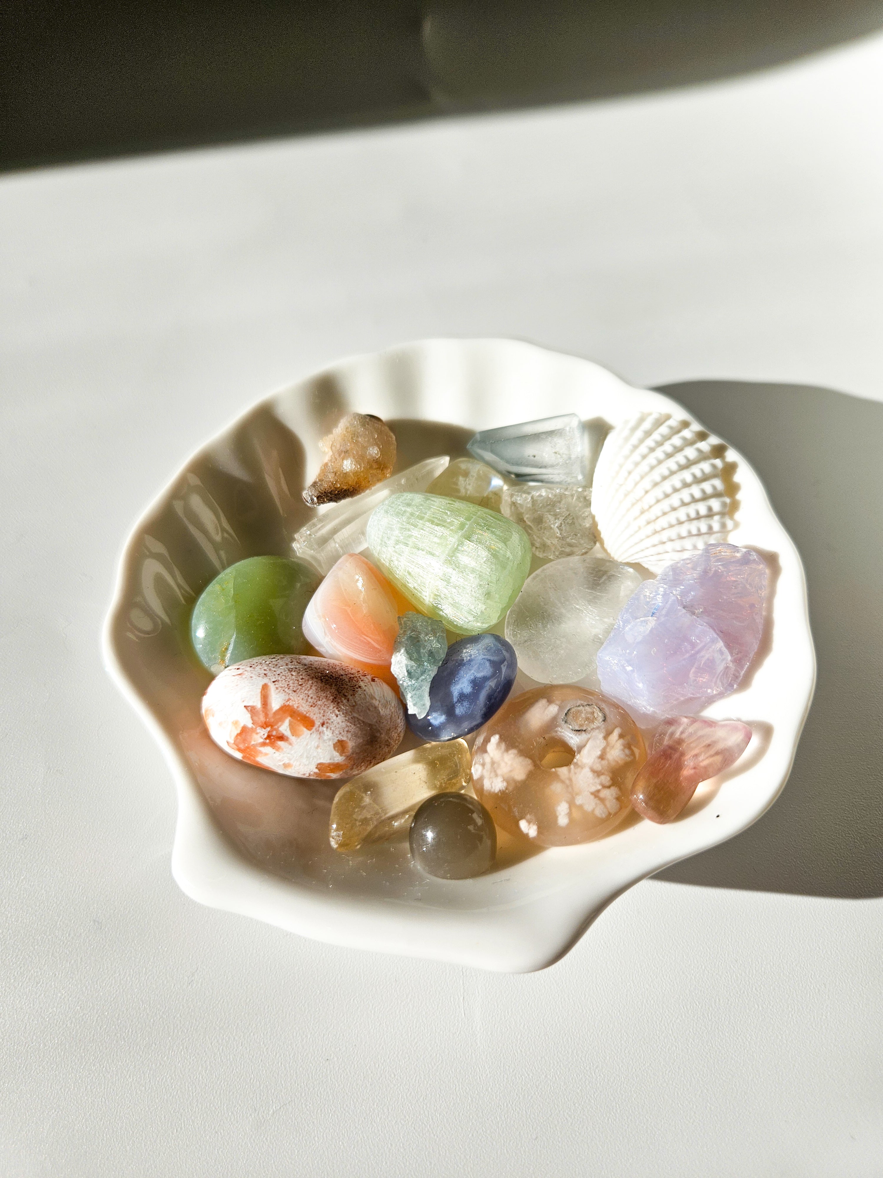 Shell Dish with Minis 002