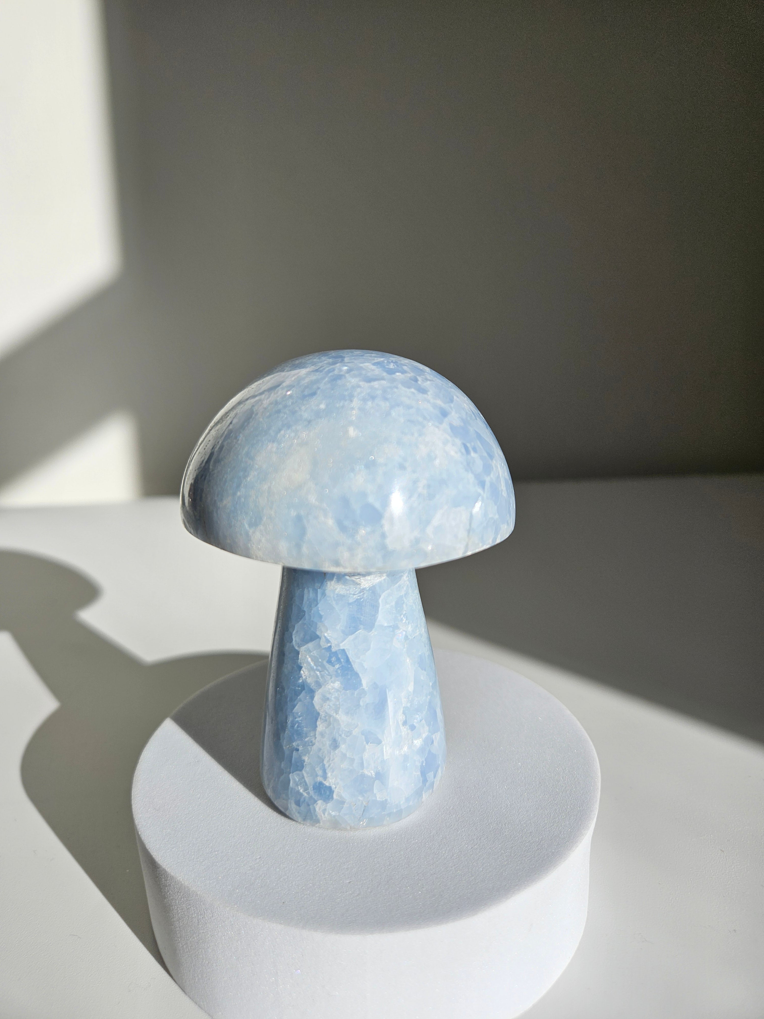 Blue Calcite Mushroom 001