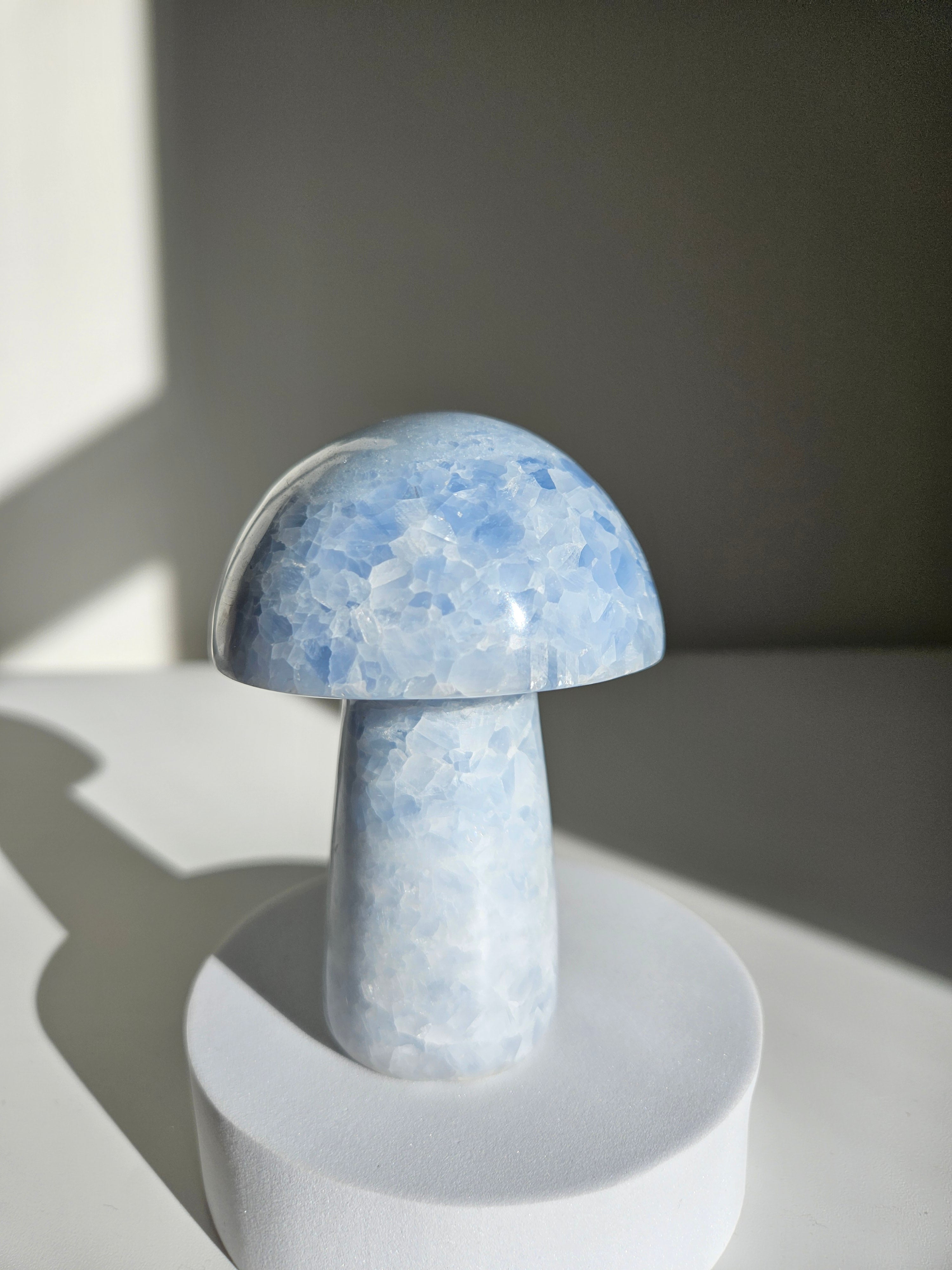 Blue Calcite Mushroom 002