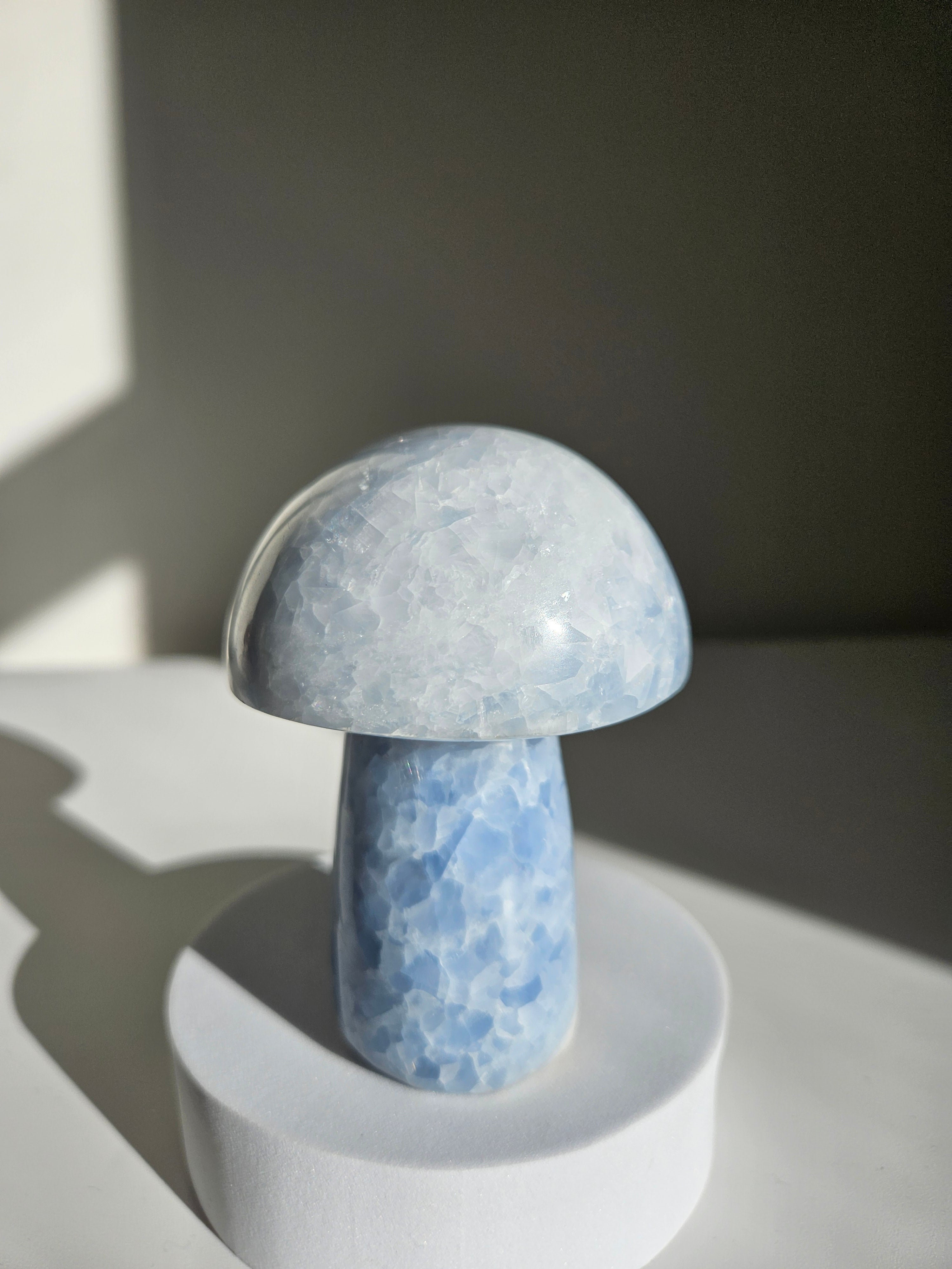 Blue Calcite Mushroom 003