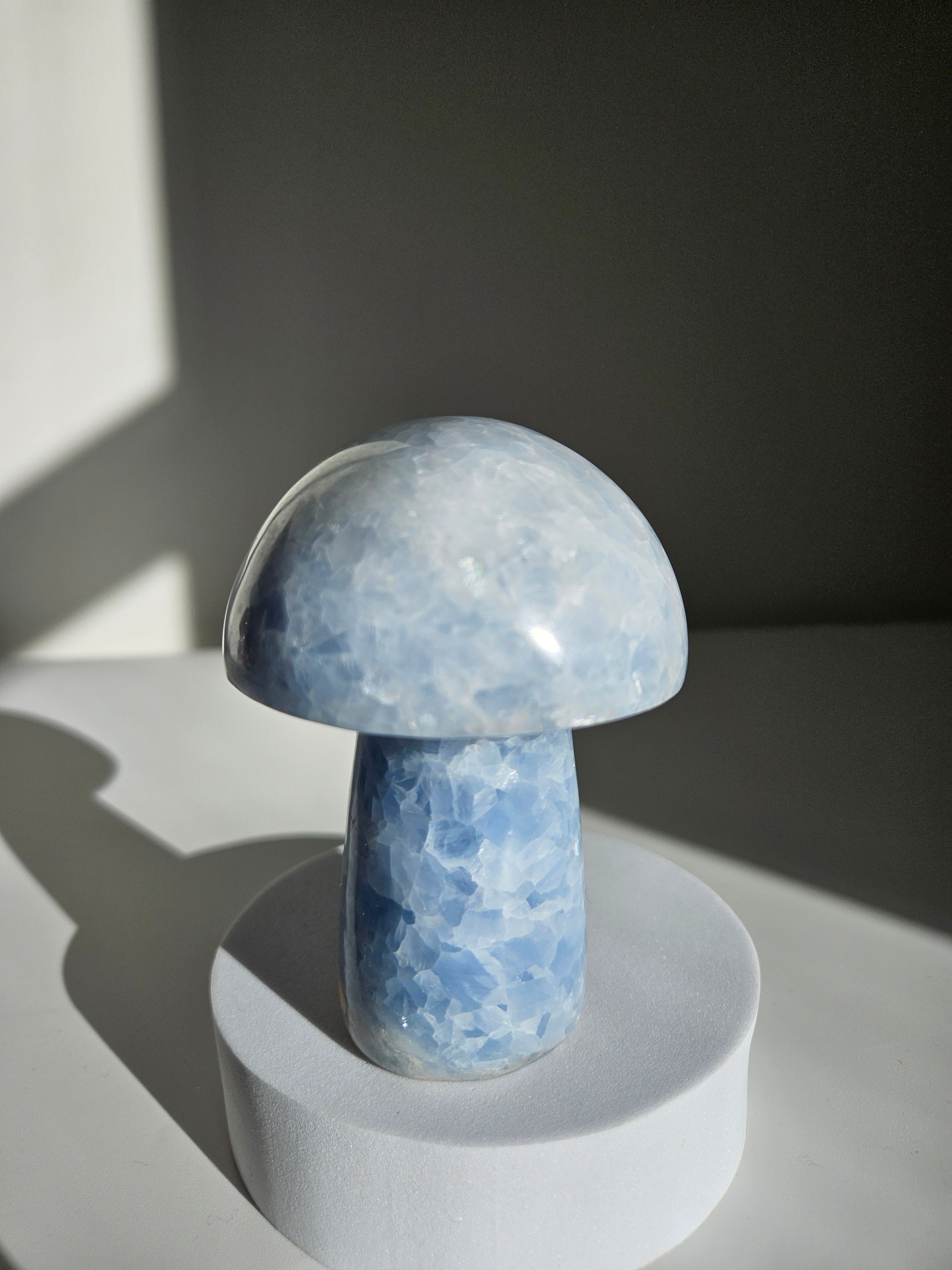 Blue Calcite Mushroom 003