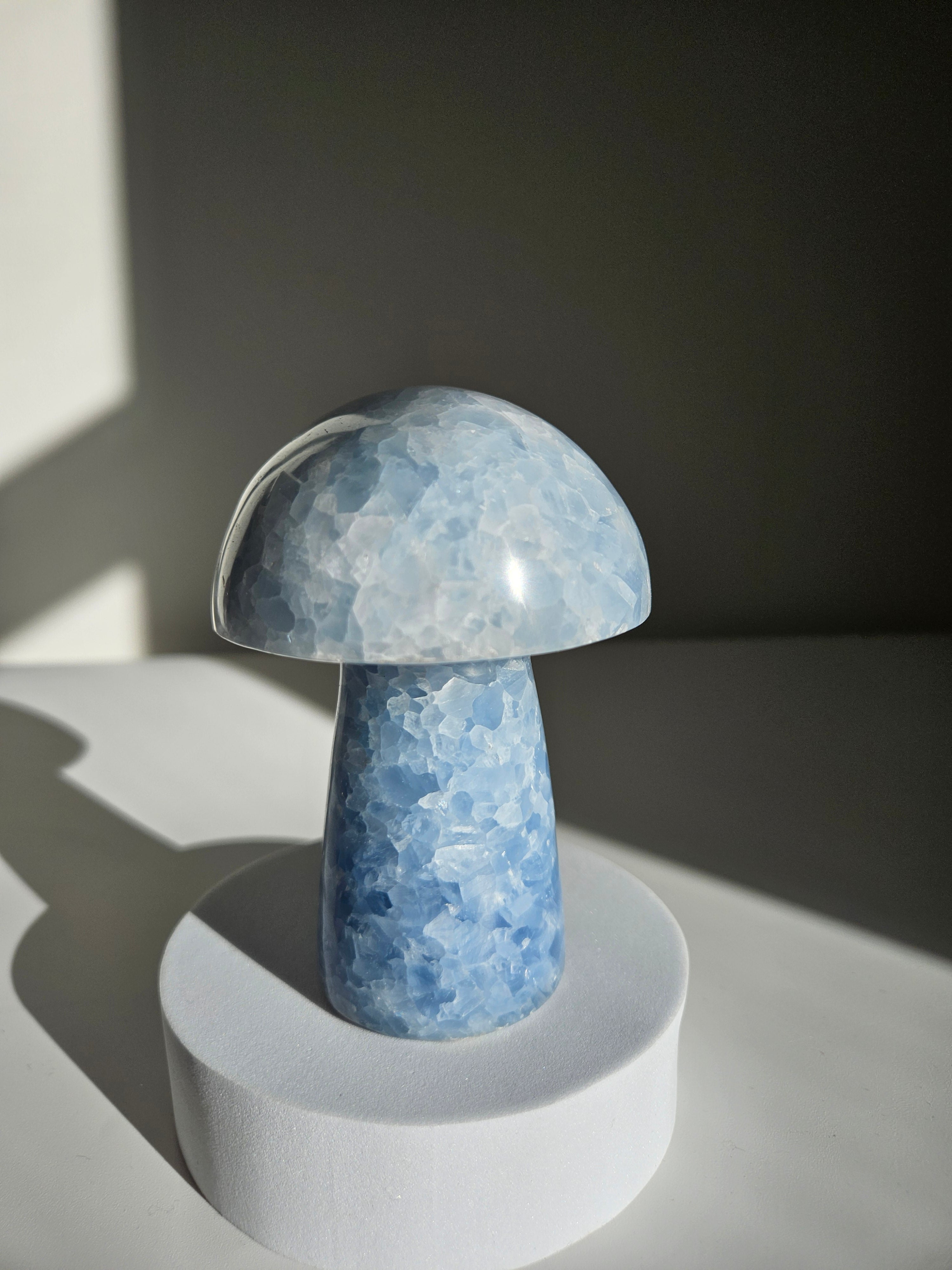 Blue Calcite Mushroom 004