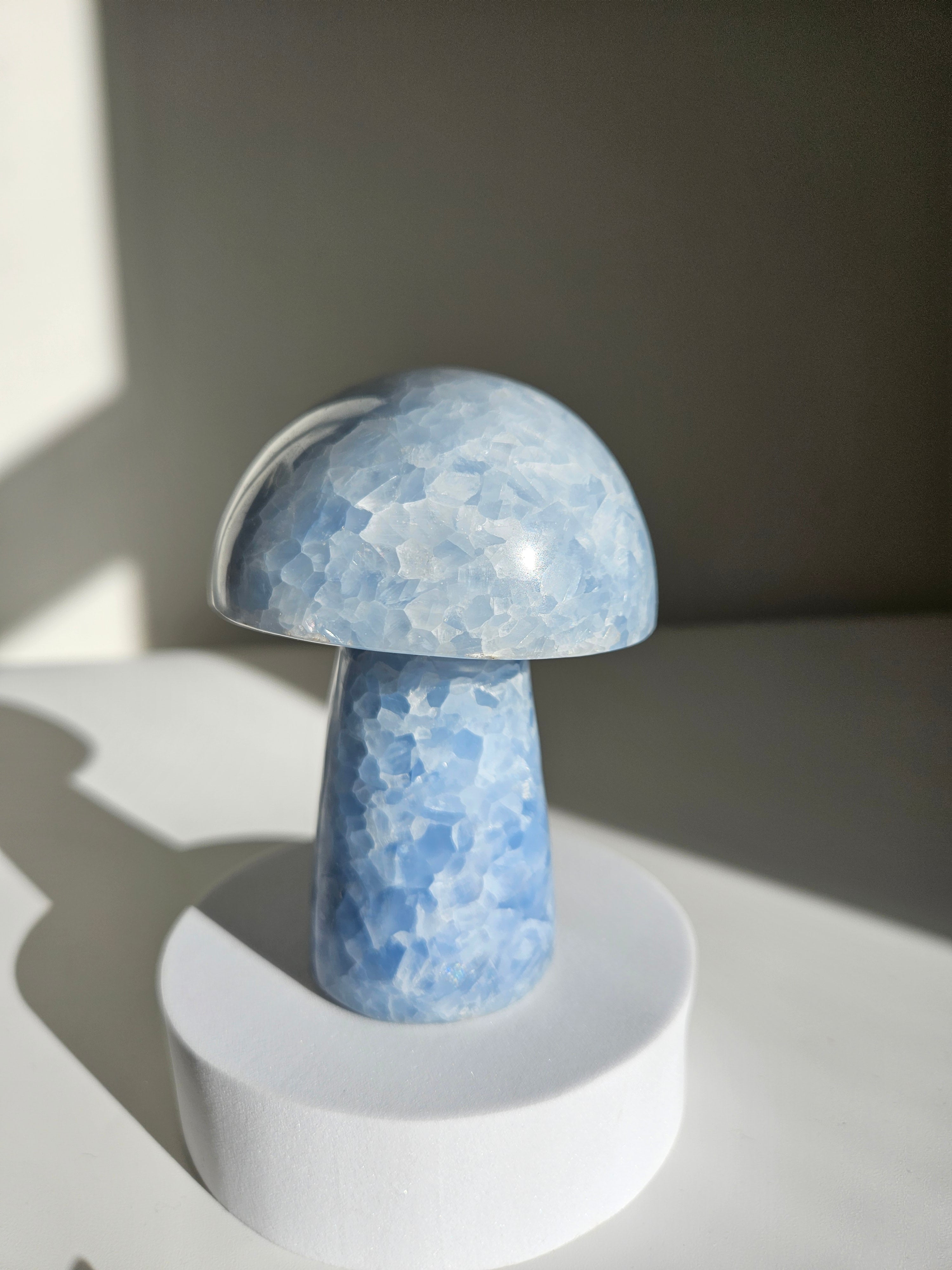 Blue Calcite Mushroom 004