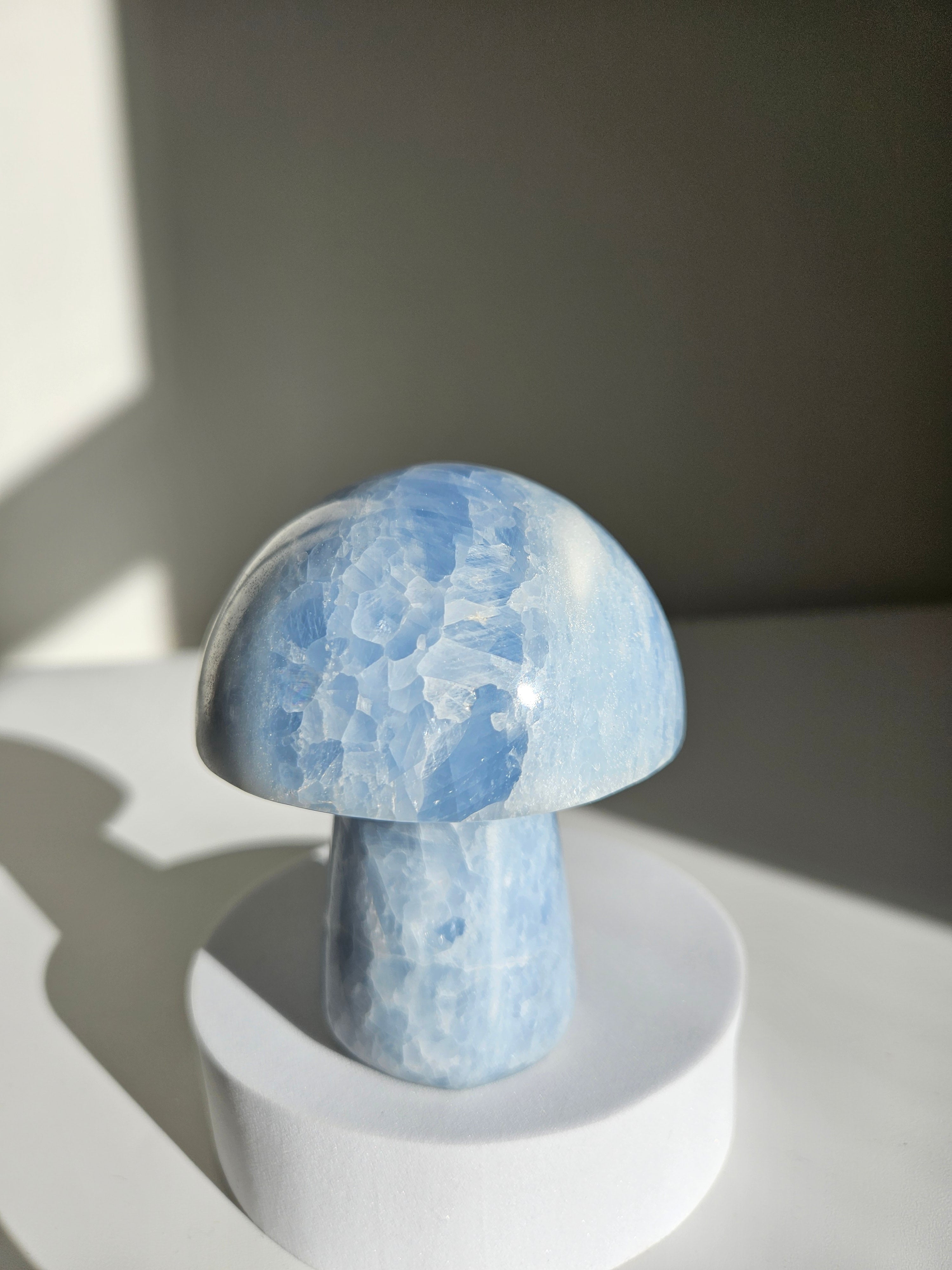 Blue Calcite Mushroom 005