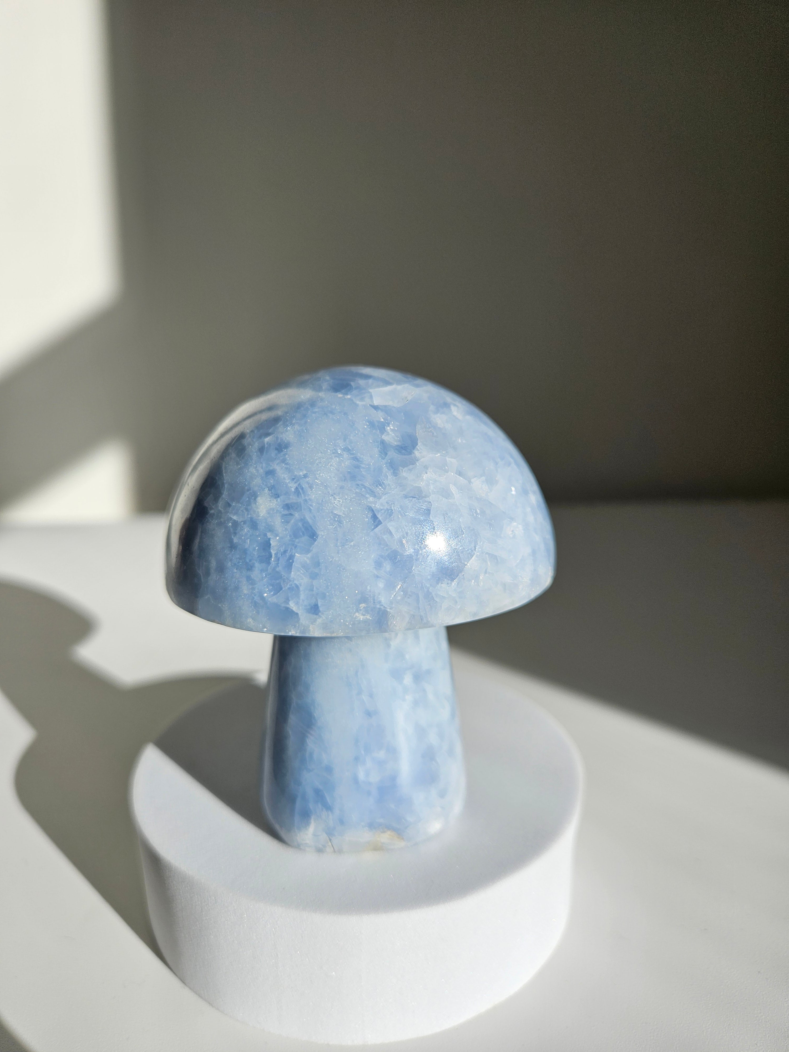 Blue Calcite Mushroom 005