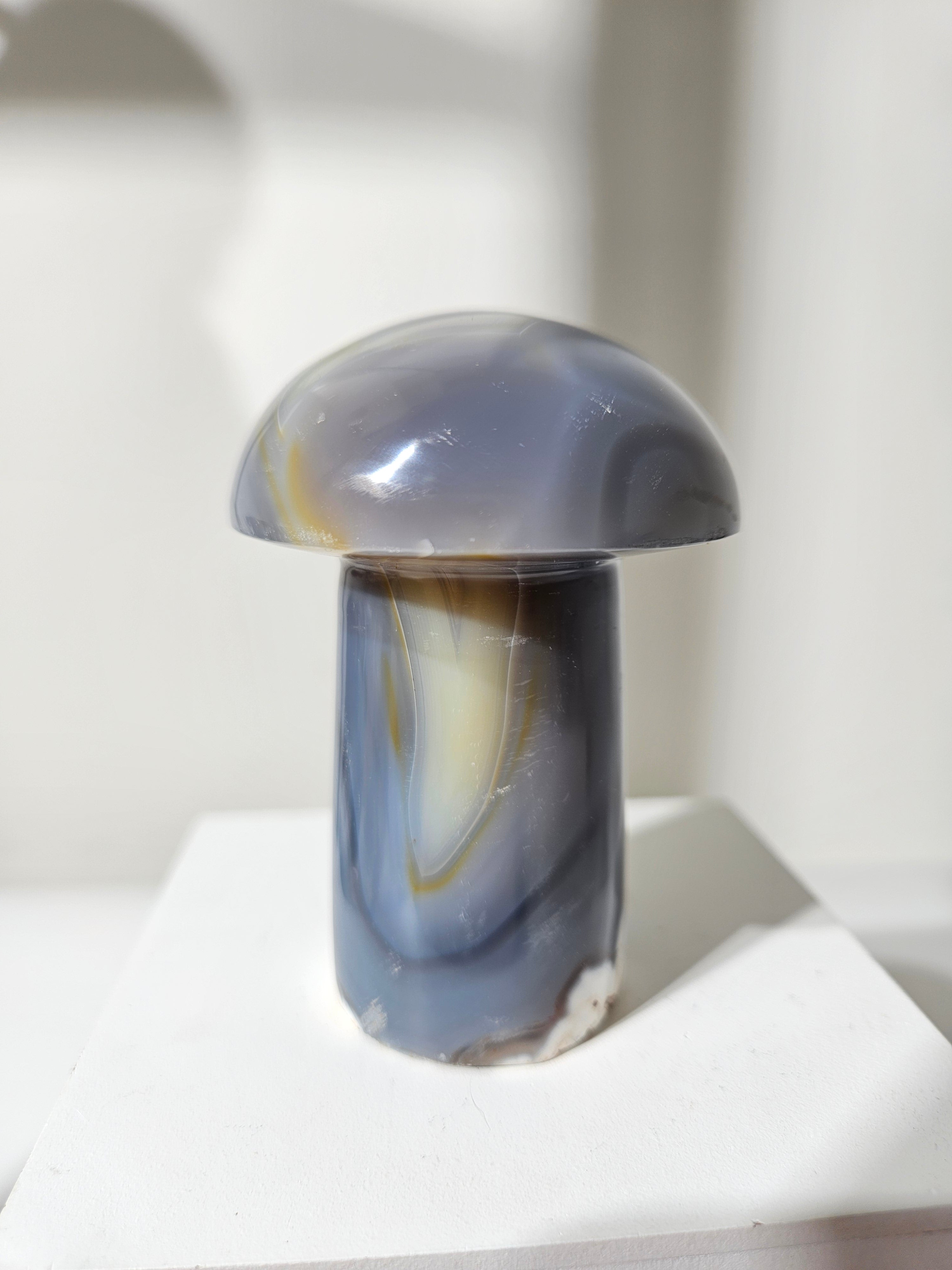 Agate Mushroom 005