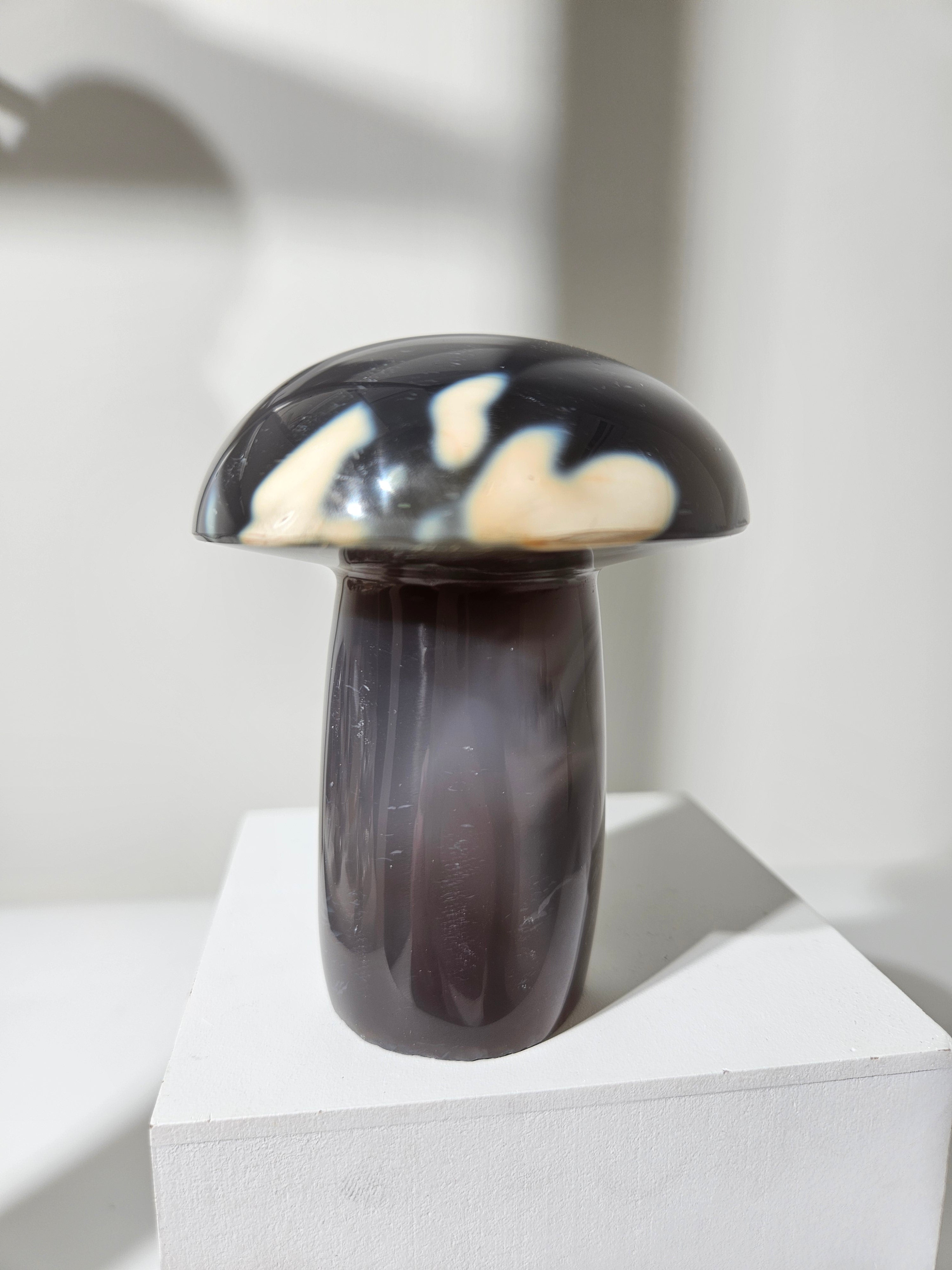 Agate Mushroom 006