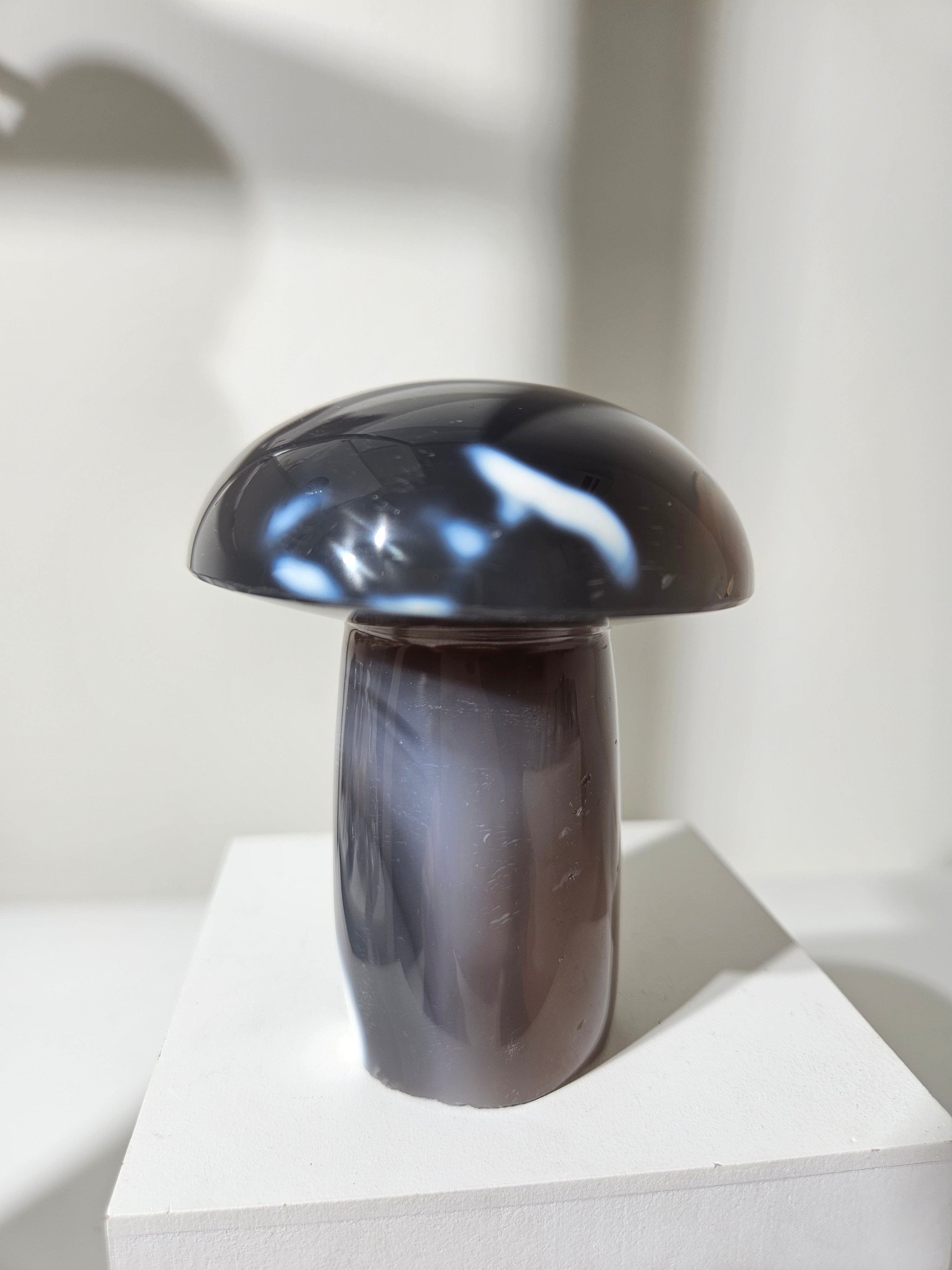 Agate Mushroom 006