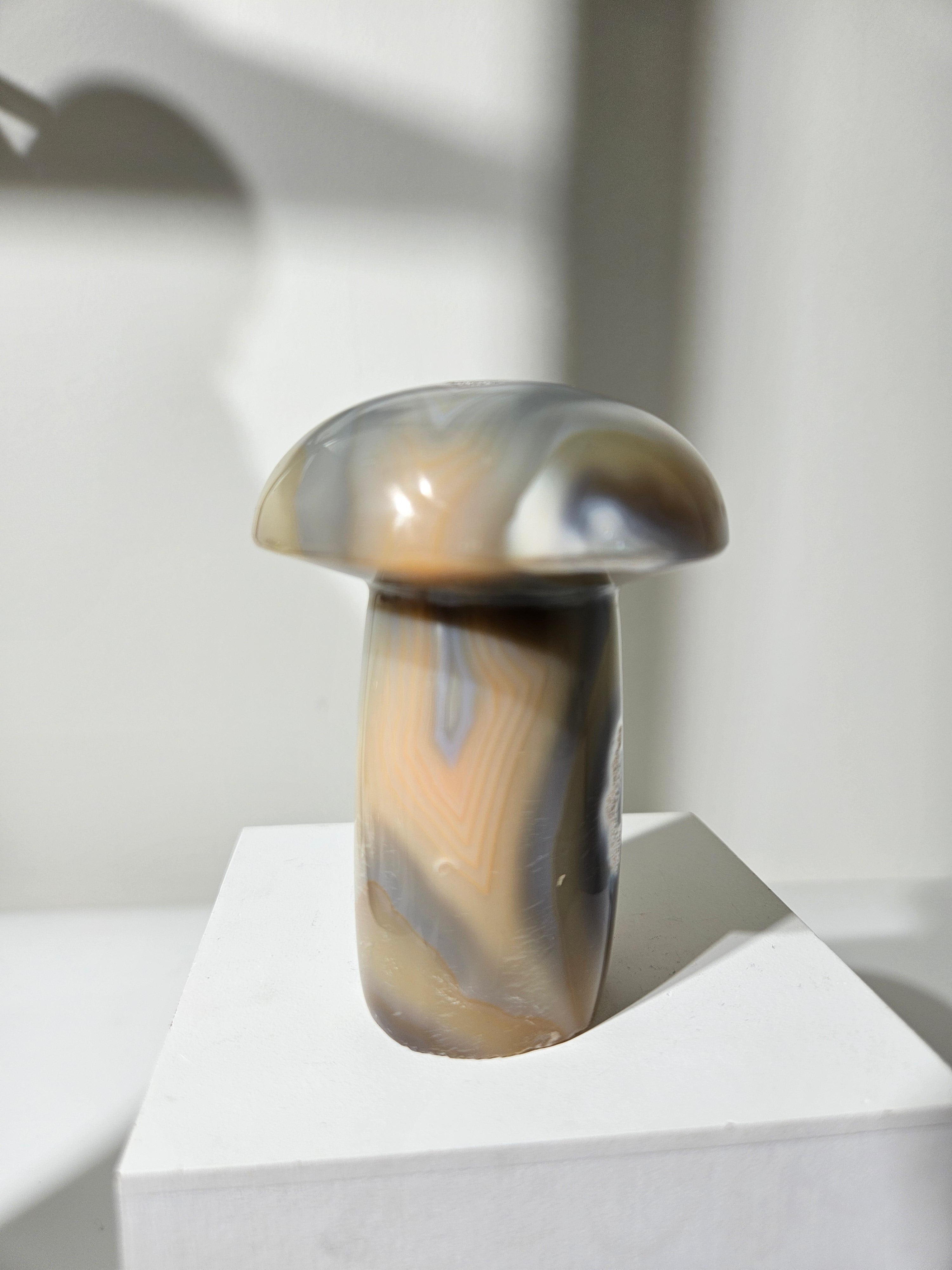 Agate Mushroom 007