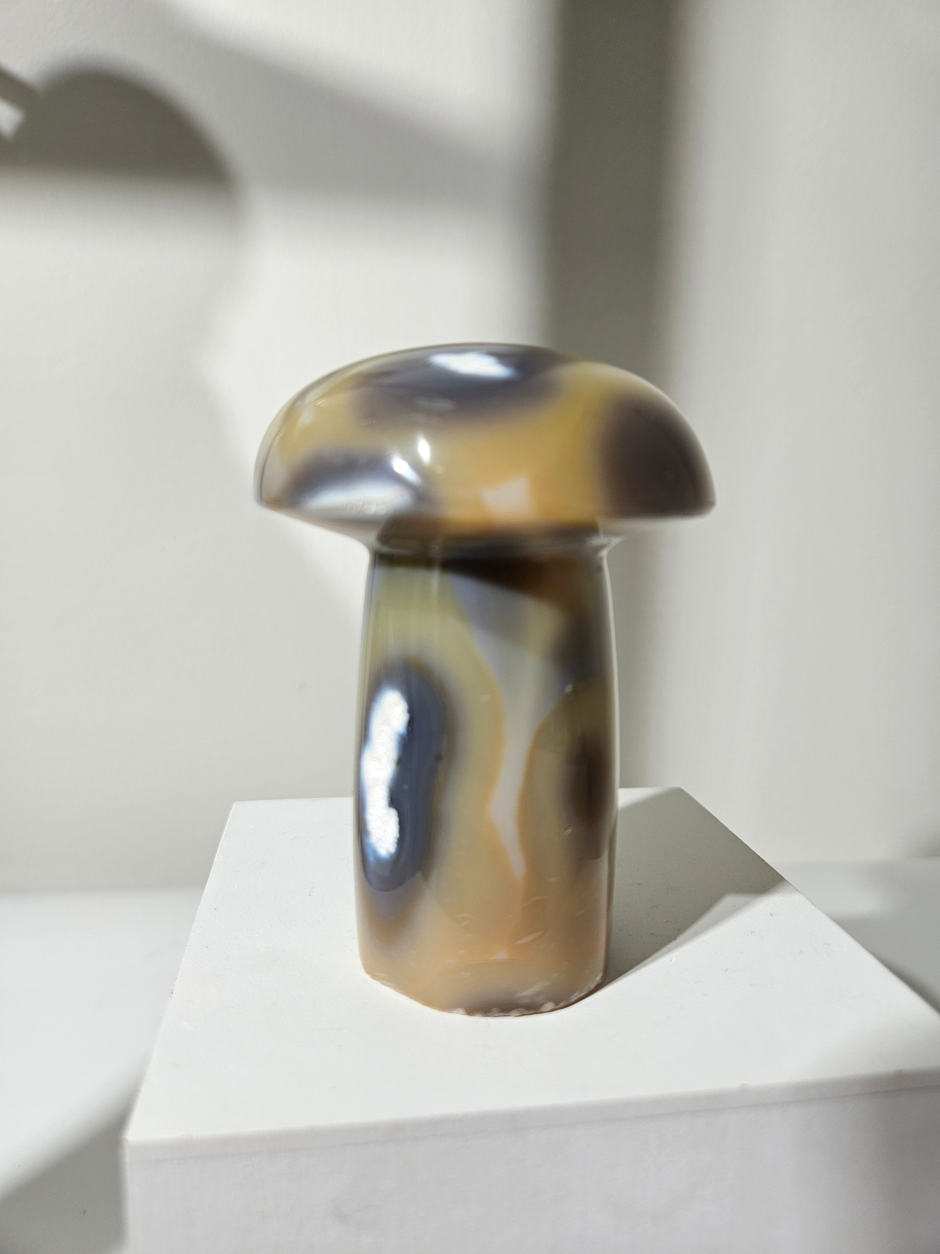 Agate Mushroom 007