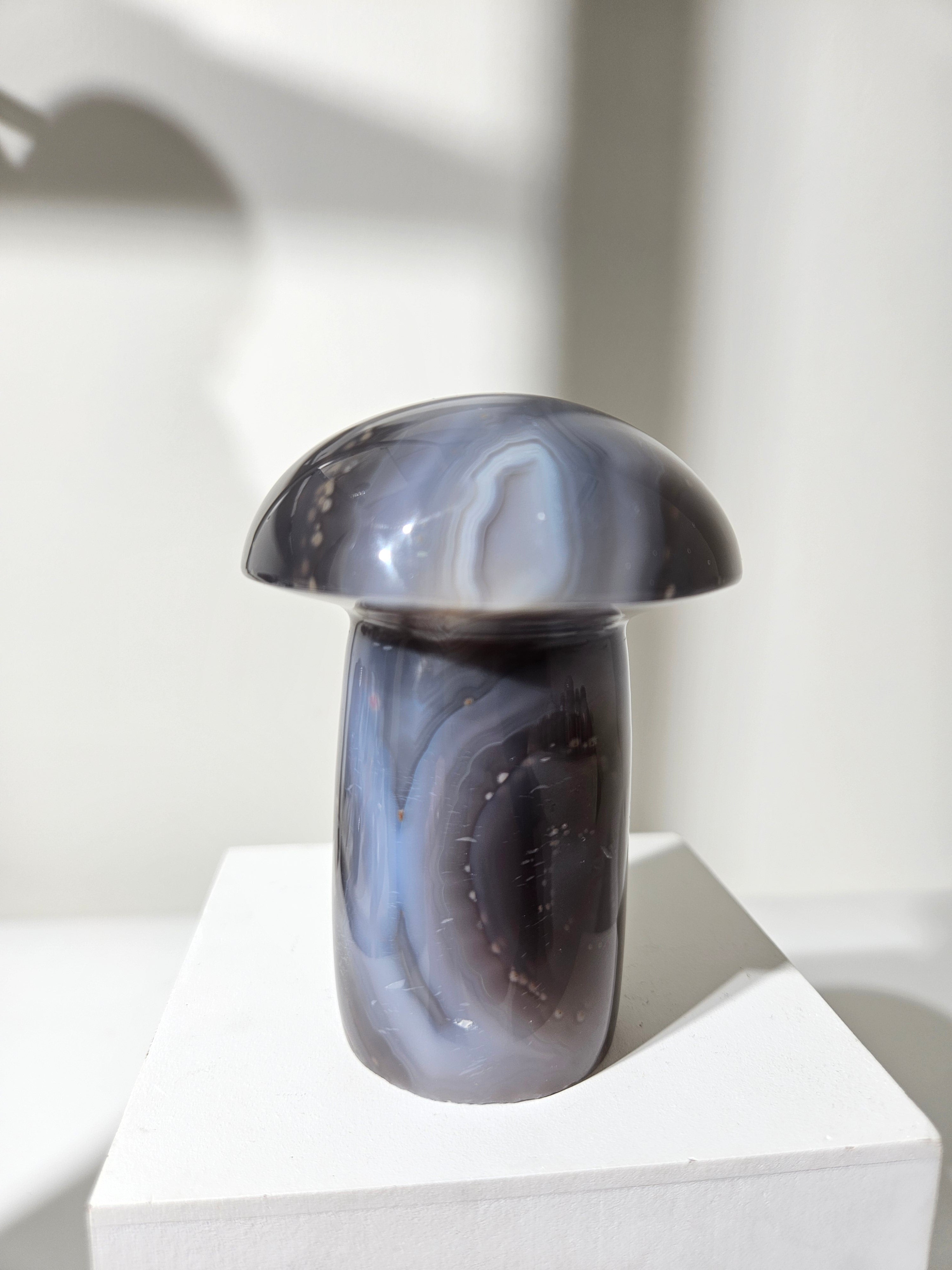 Agate Mushroom 008