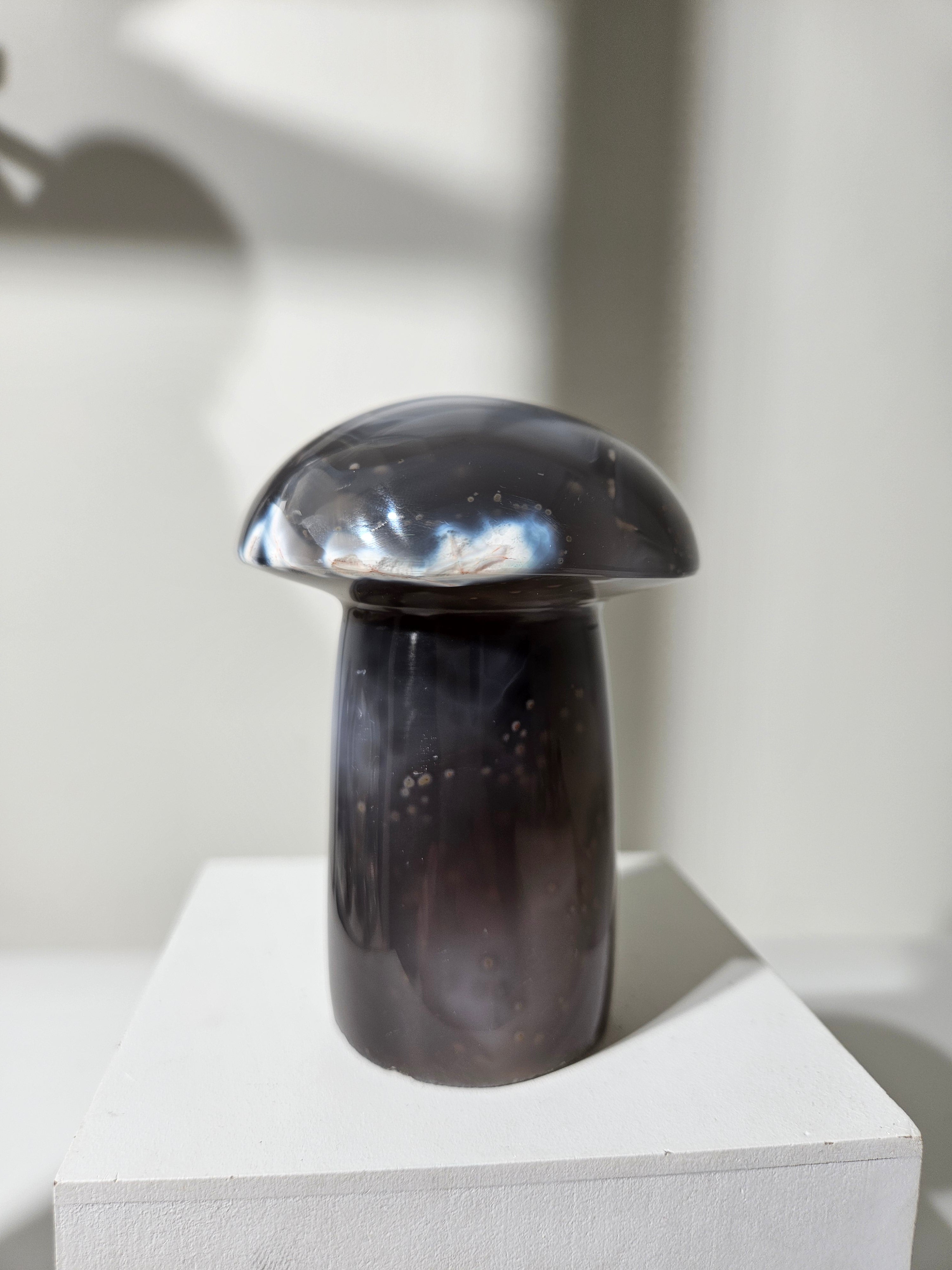 Agate Mushroom 008