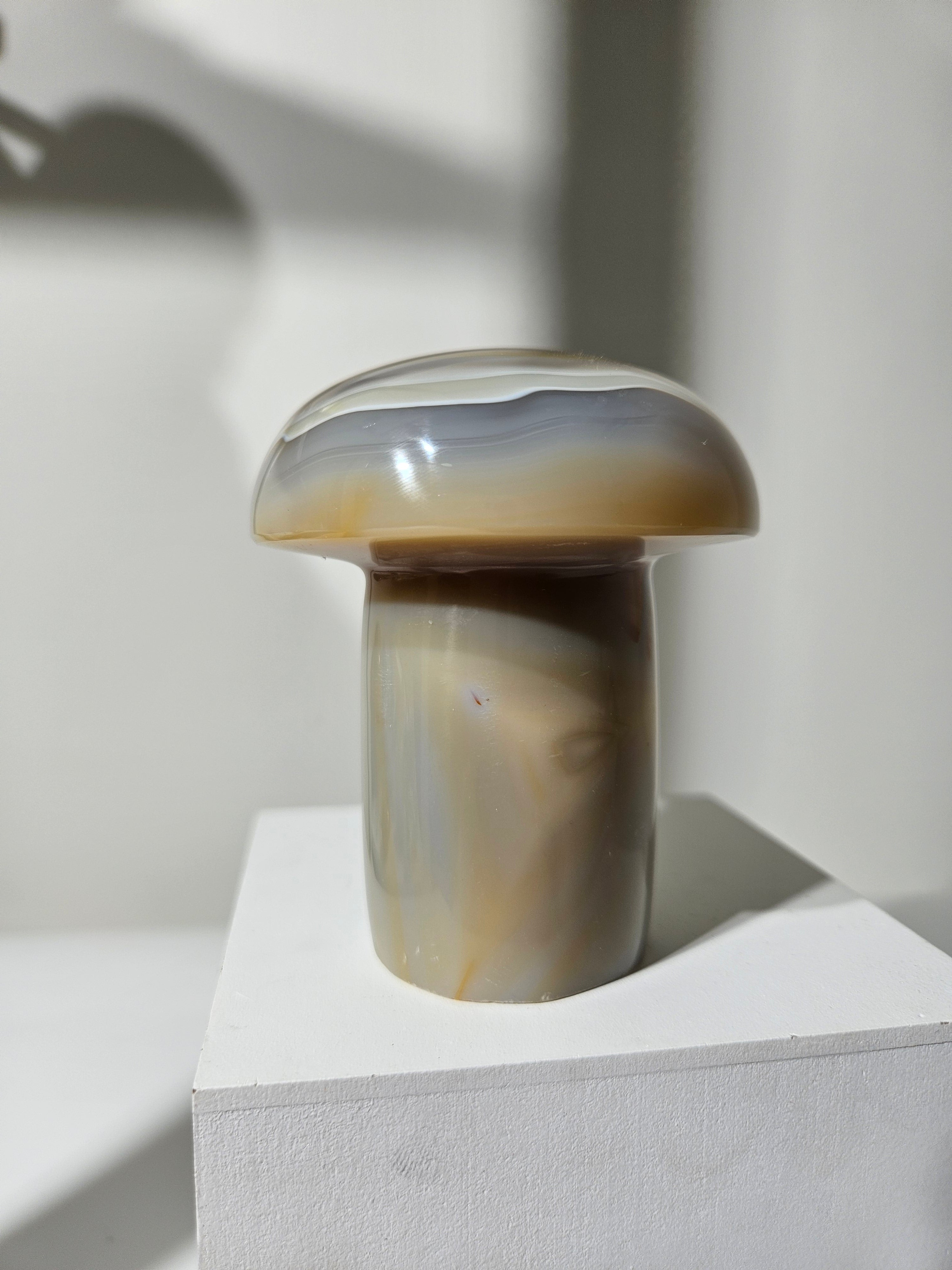 Agate Mushroom 010