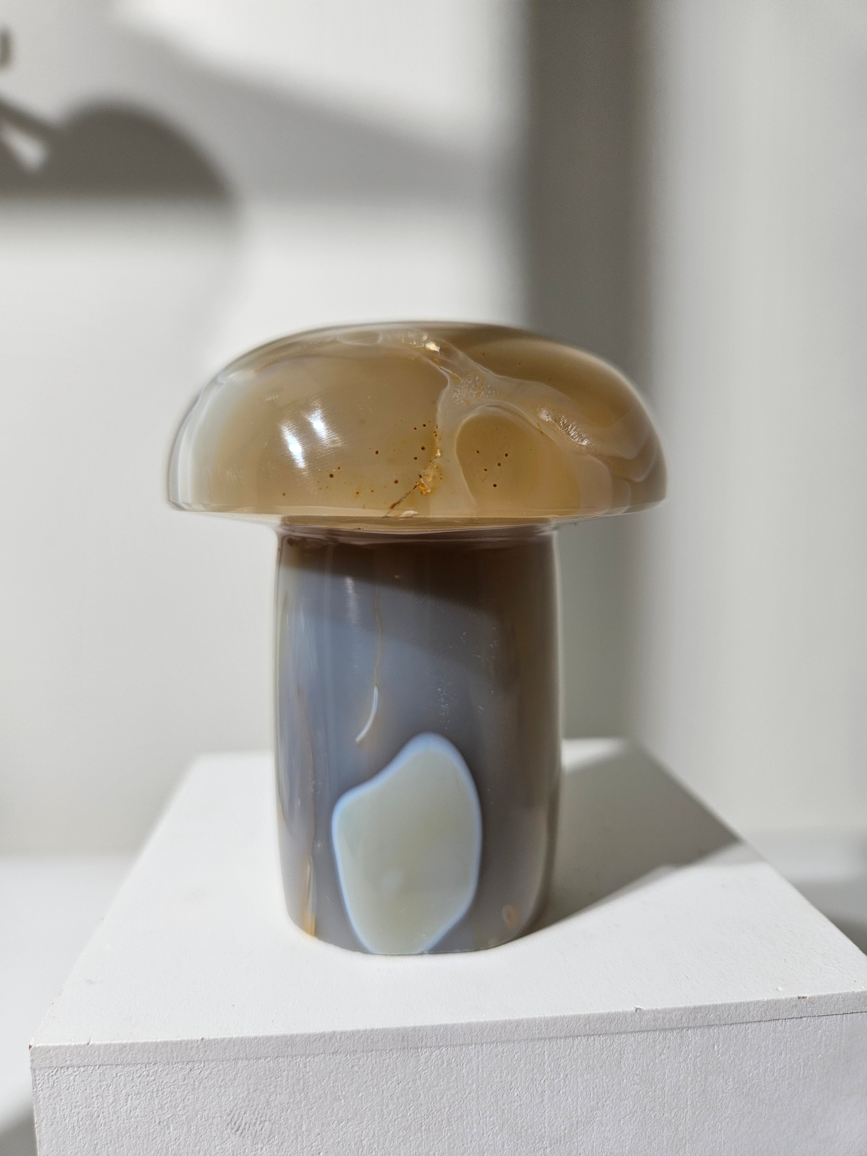 Agate Mushroom 010