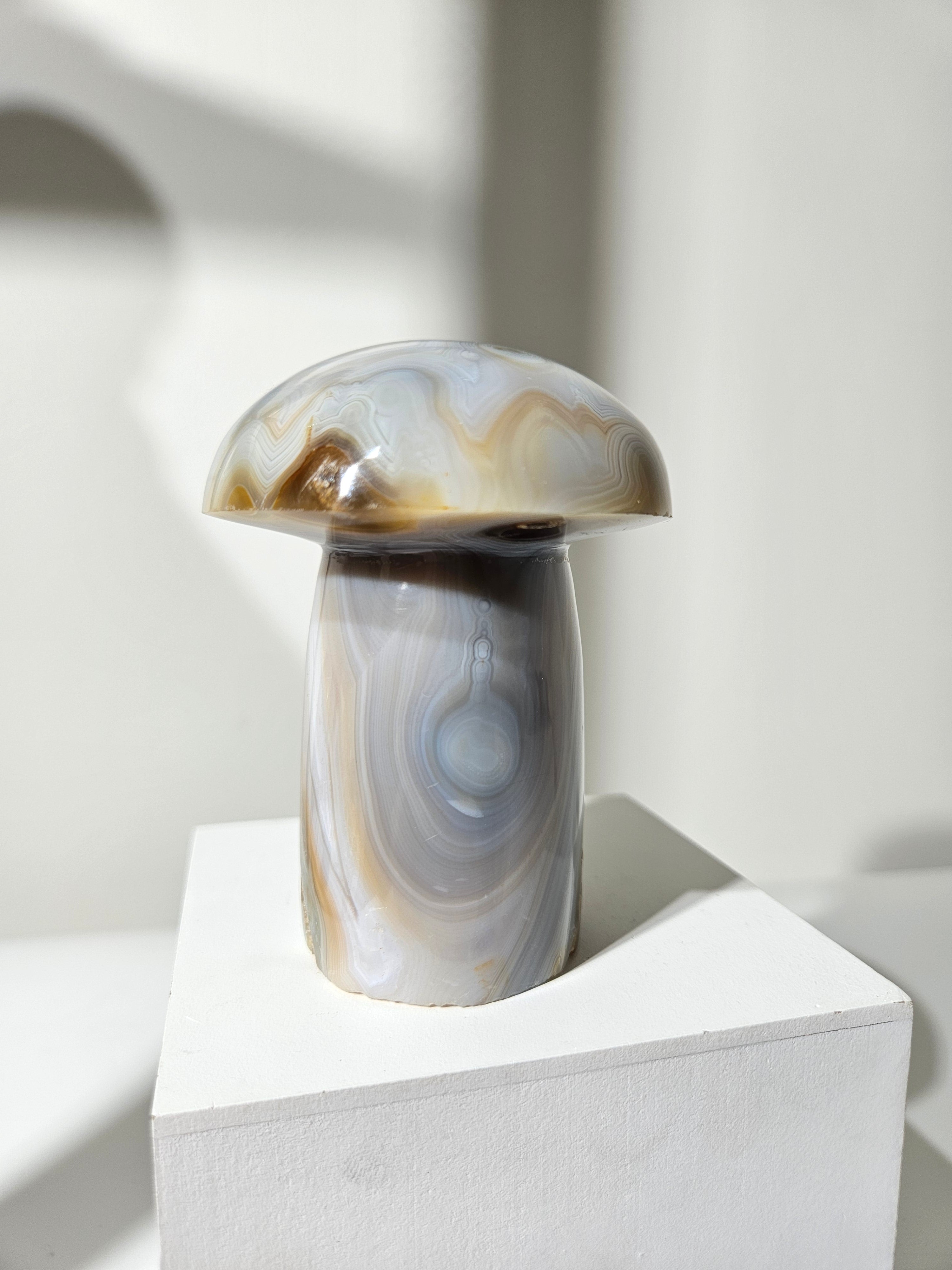 Agate Mushroom 012