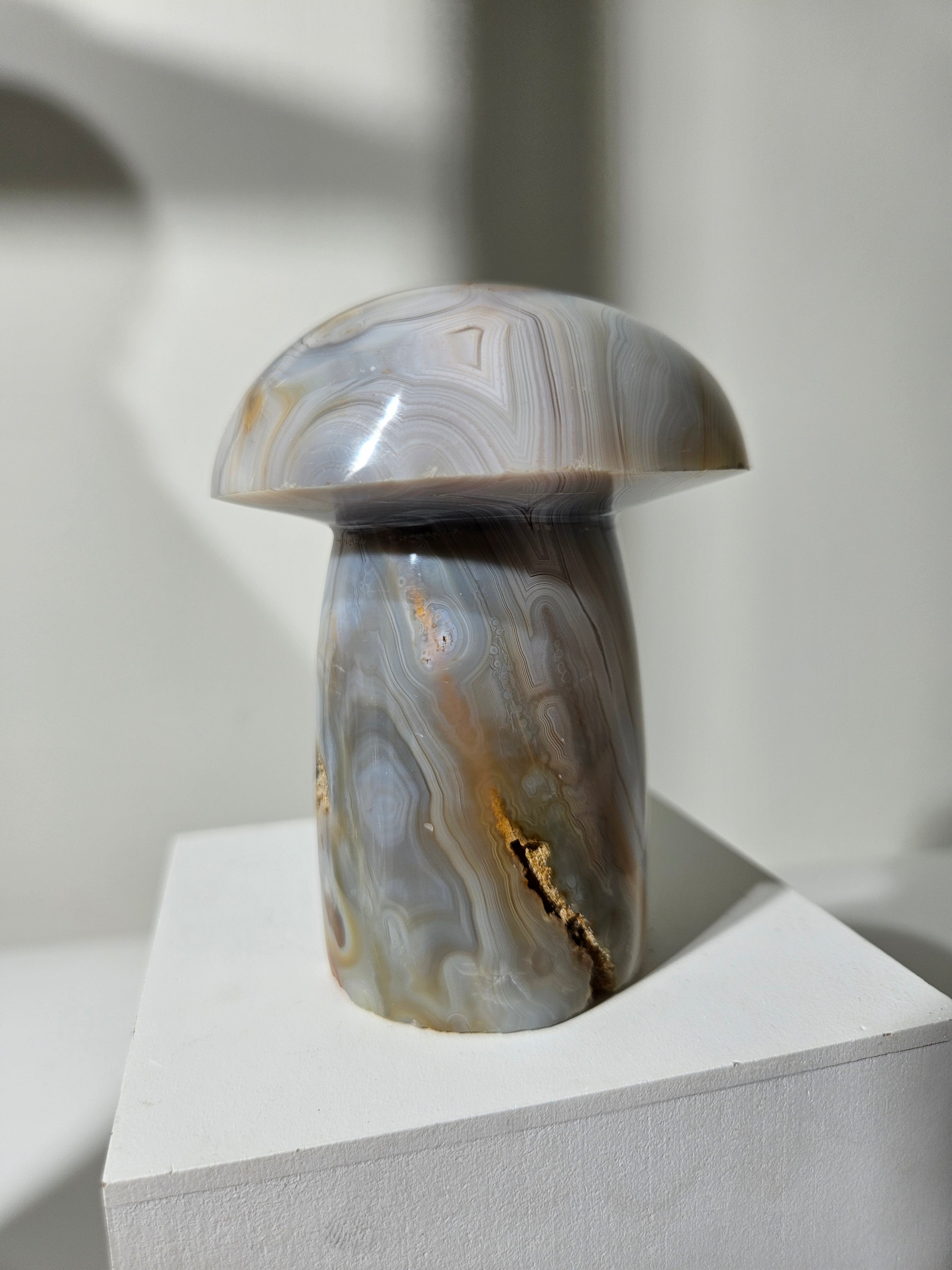 Agate Mushroom 012