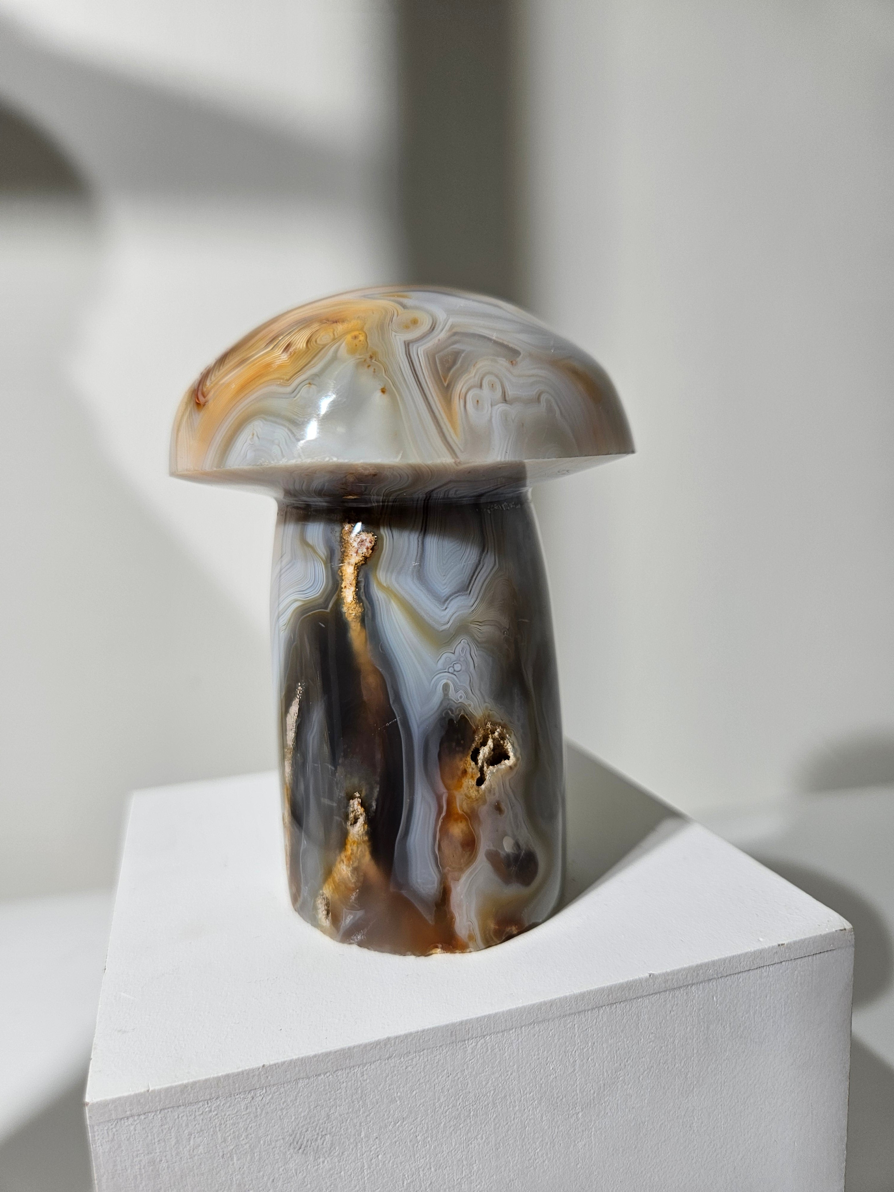 Agate Mushroom 012