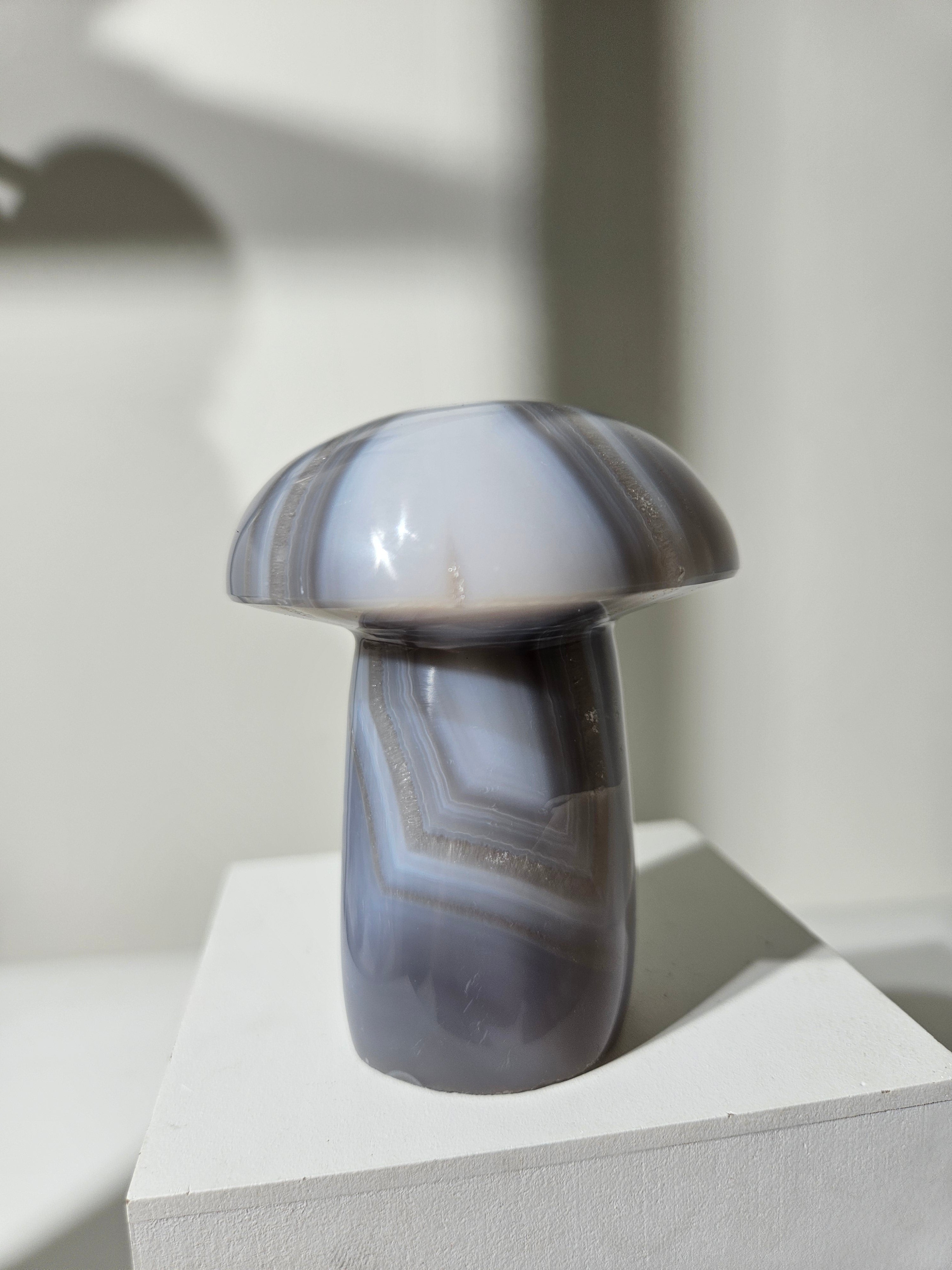 Agate Mushroom 013