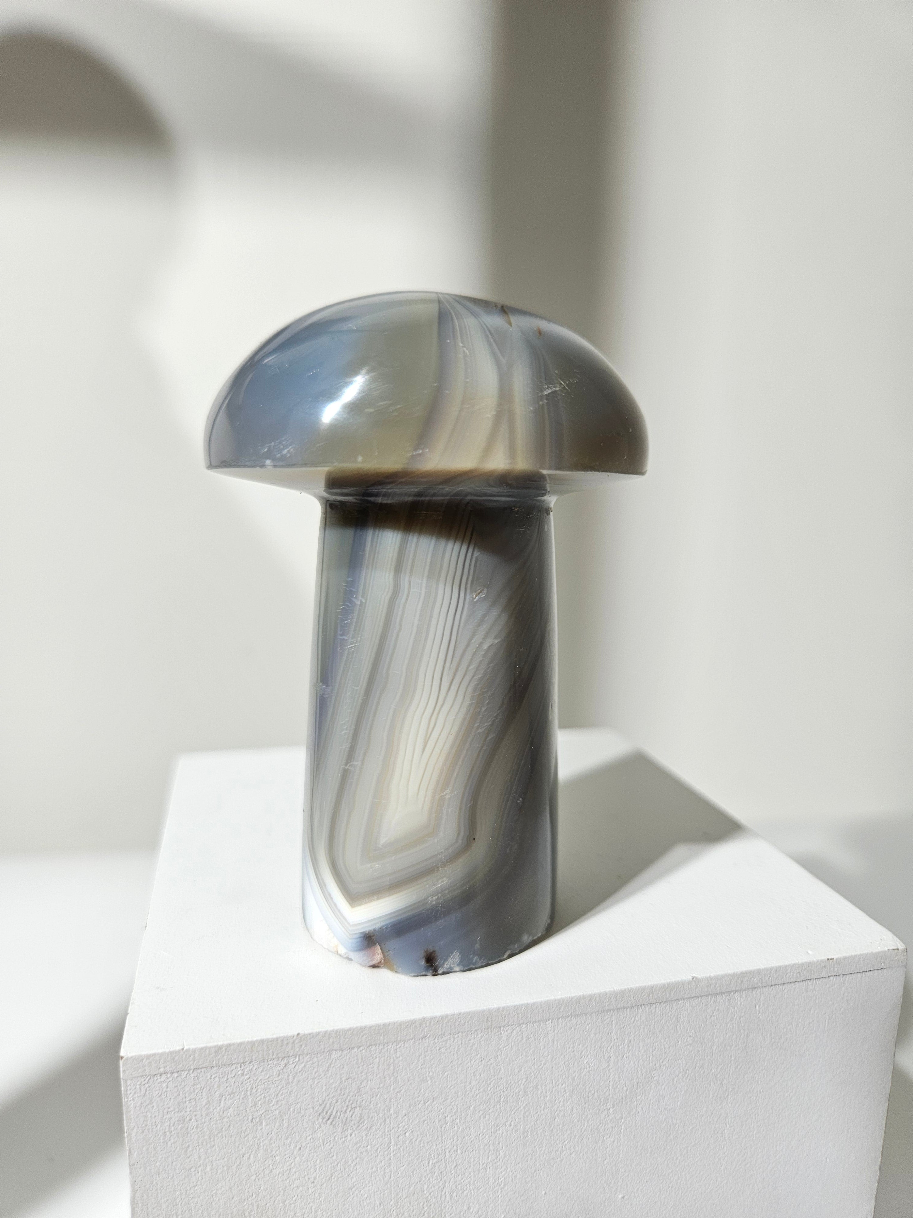 Agate Mushroom 014