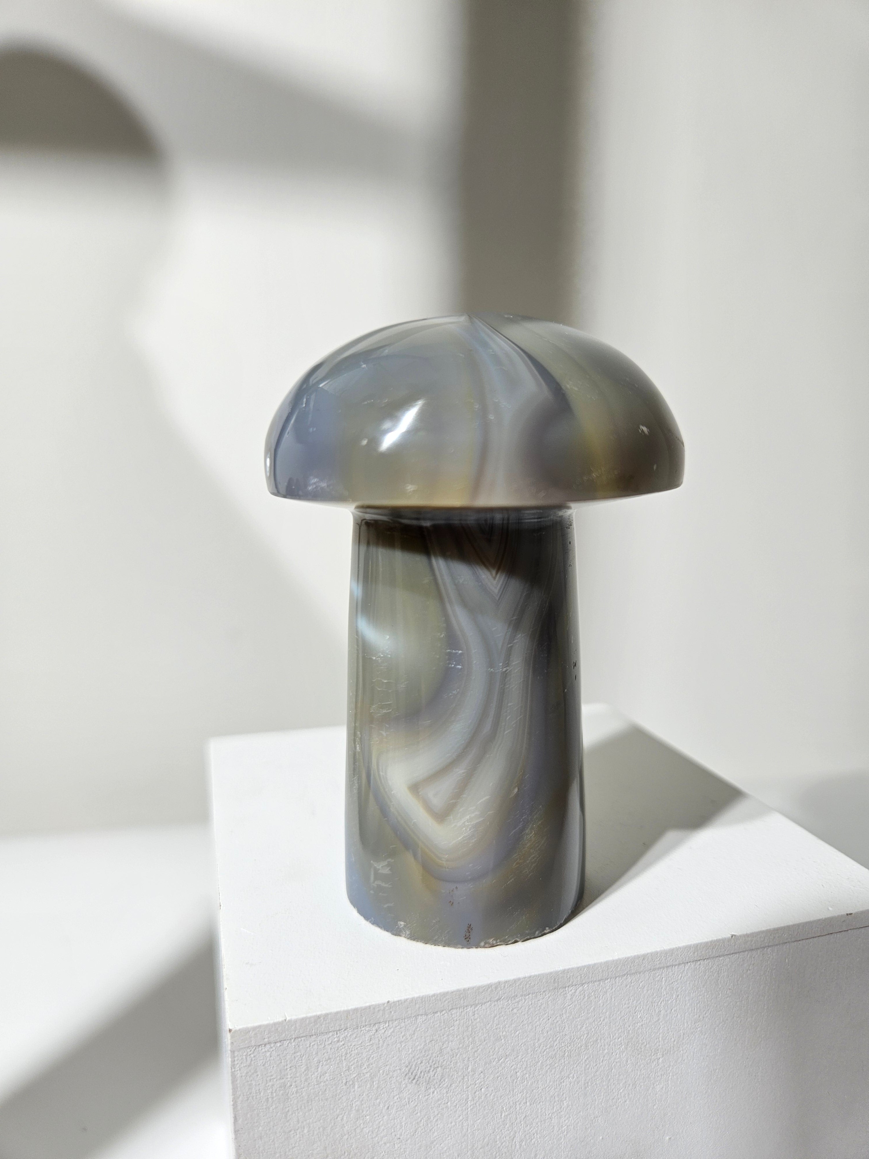 Agate Mushroom 014