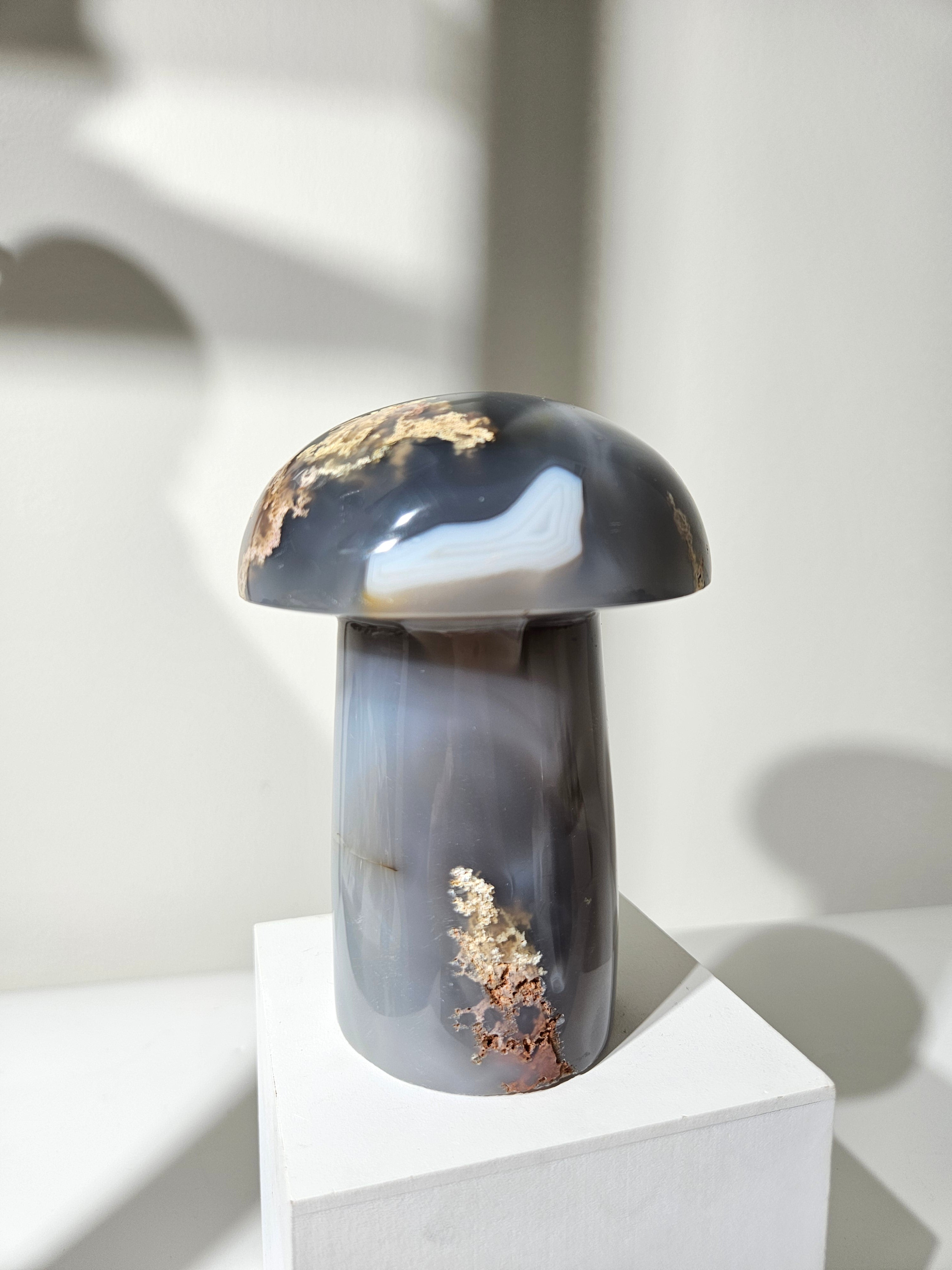 Agate Mushroom 015