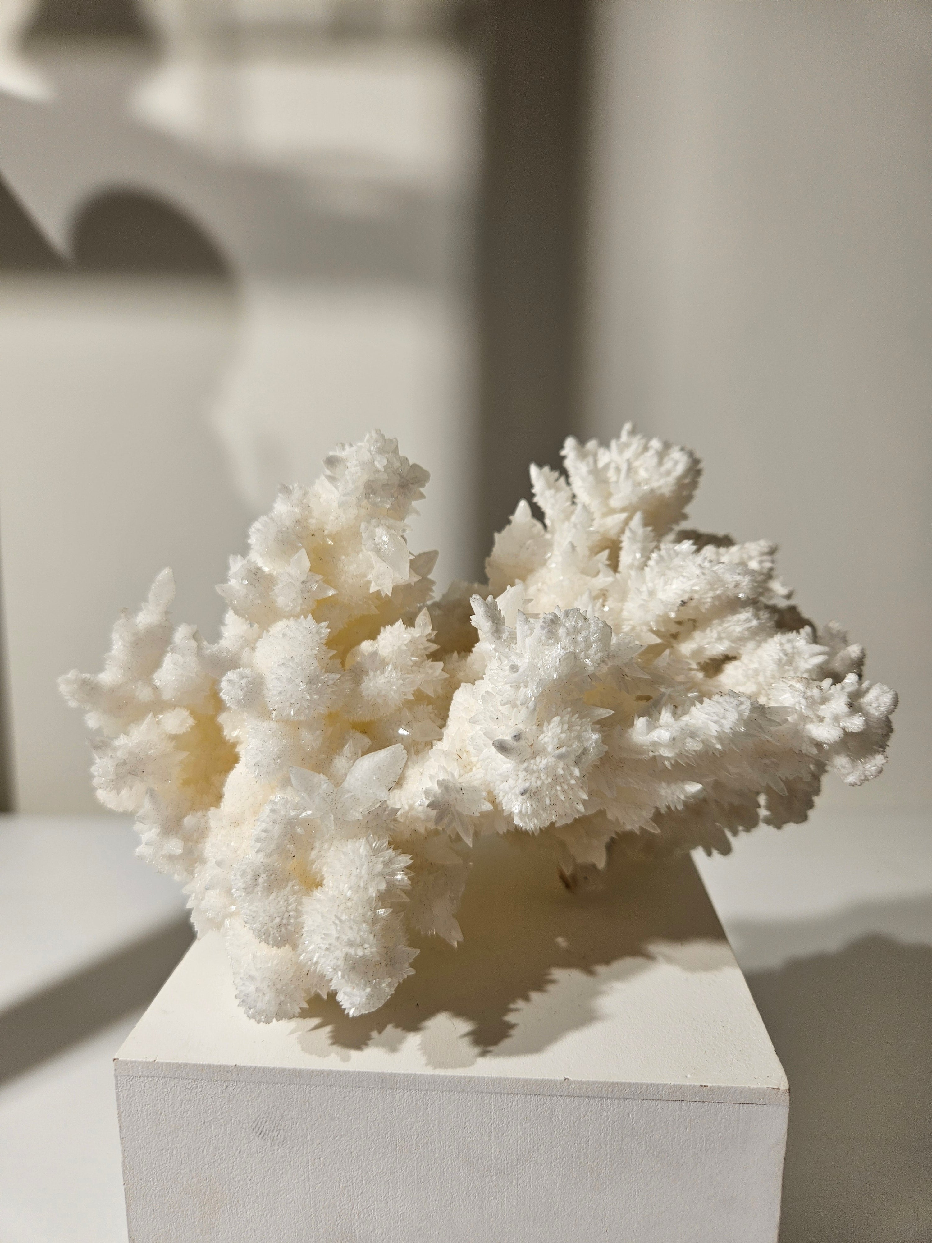 White Aragonite 008