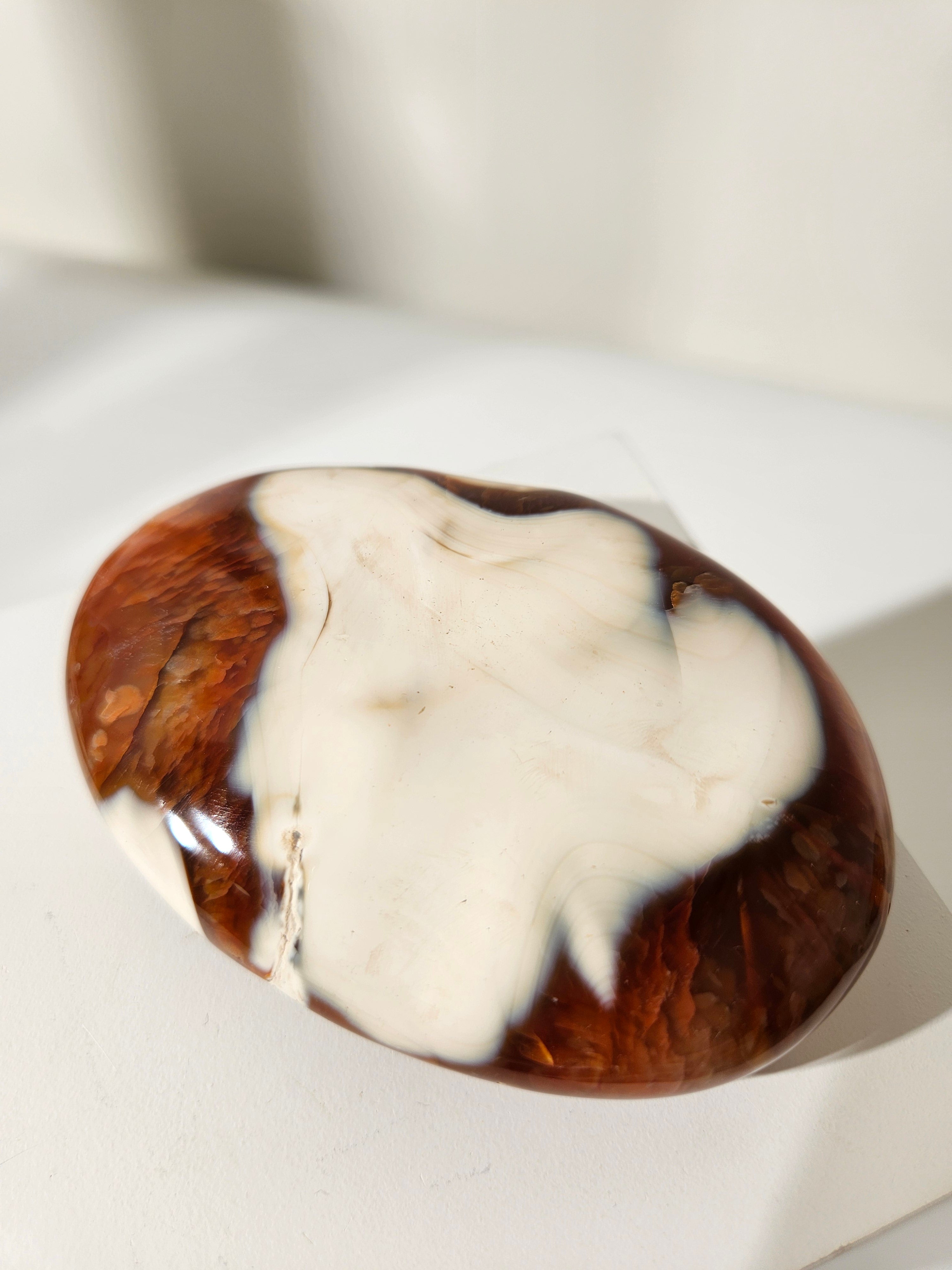 Orca agate x Carnelian Palmstone 006