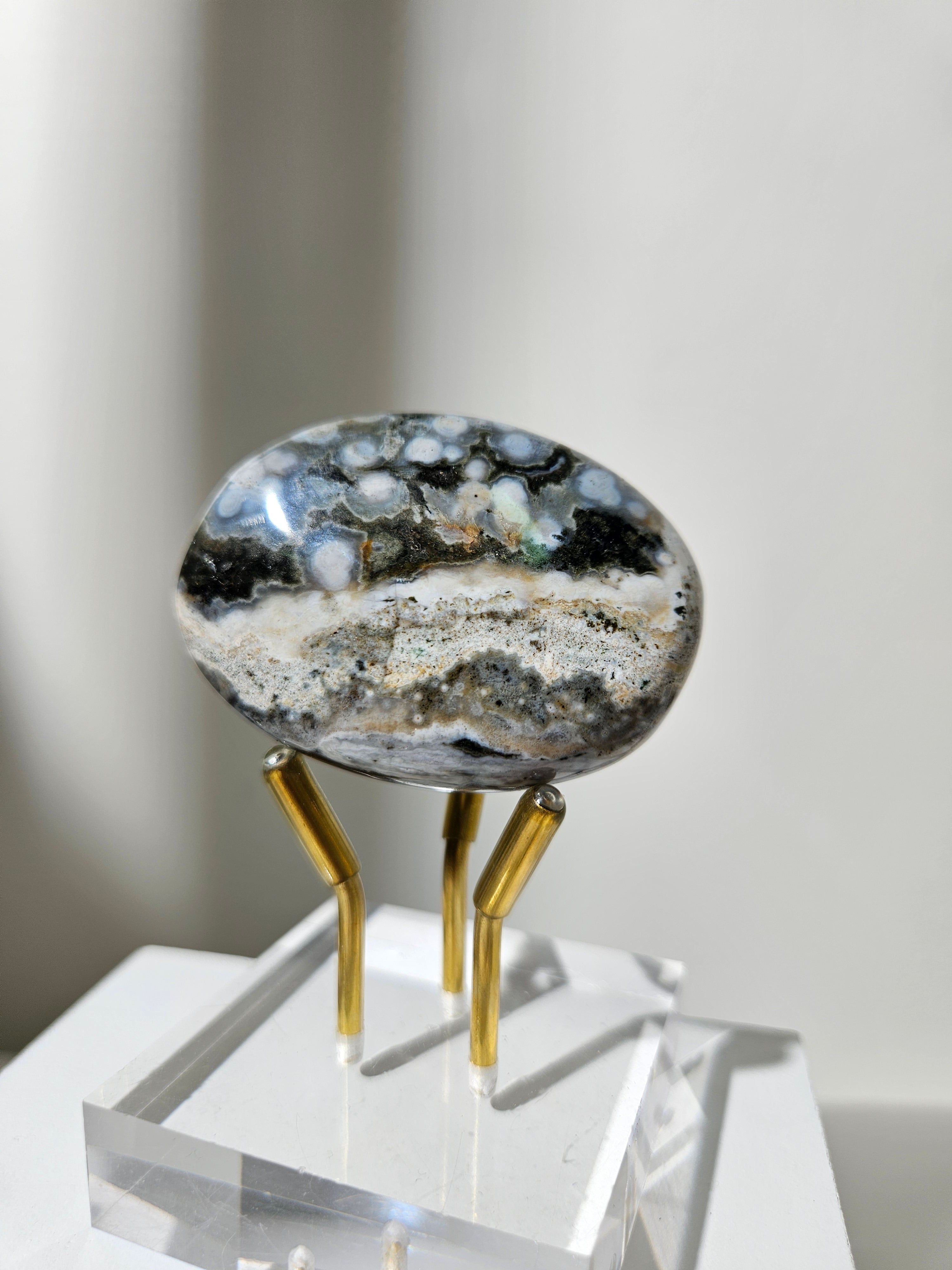 Sea Jasper Palmstone 010